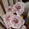 Violet Mist rose photo