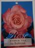 Ita Buttrose rose photo