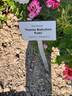 Flame Babylon Eyes rose photo