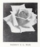 Jonkheer J. L. Mock rose photo