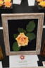 Nancy Jean ™ rose photo
