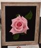 Andrea Stelzer rose photo