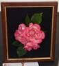 Hannah Gordon rose photo