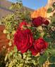 All Ablaze ™ rose photo
