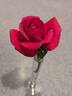 Femme Fatale rose photo