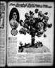 Mrs. Marshall Field rose photo