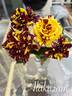 Alakazam rose photo