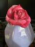 Paradise ™ rose photo
