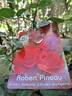Robert Pineau rose photo