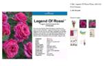 Legend of Rossi ™ rose photo