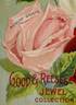Auguste Comte rose photo