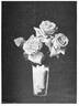 Bridesmaid rose photo