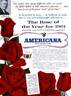 Americana rose photo