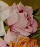 Madame Ada Carmody rose photo