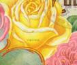Virginia (tea, Dingee rose photo