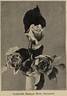 Herzogin Marie Antoinette rose photo