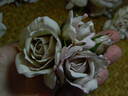 Grey Pearl rose photo