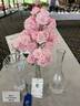 Maid of Kent rose photo