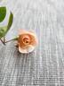 Twilight Mist rose photo