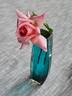 Talisman, Cl. rose photo