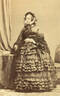 Marquise de Mortemart rose photo