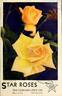 Feu Pernet-Ducher rose photo