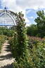 La France, Cl. rose photo