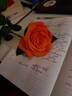 Orange Ace rose photo