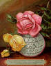 Duchess of Albany rose photo