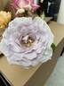 Stainless Steel ™ rose photo