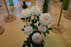 Irresistible rose photo
