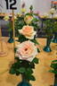 Marilyn Monroe ™ rose photo
