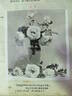 Dorothy Fowler rose photo