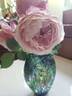 Cathedral Bells rose photo
