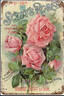 Madame Caroline Testout rose photo