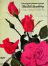 Charlotte Armstrong rose photo