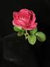 Femme Fatale rose photo