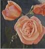 Indian Summer rose photo