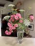 Pomponella ® rose photo