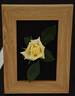 Luis Desamero rose photo