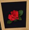Let Freedom Ring ™ rose photo