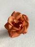 Teddy Bear ™ rose photo